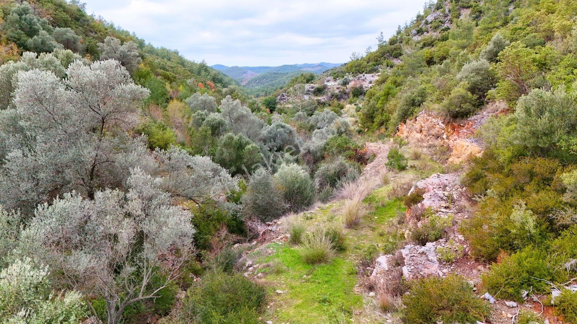 Alanya-karamanlar’ Da Satılık 4.470m² Arazi - Görsel 10