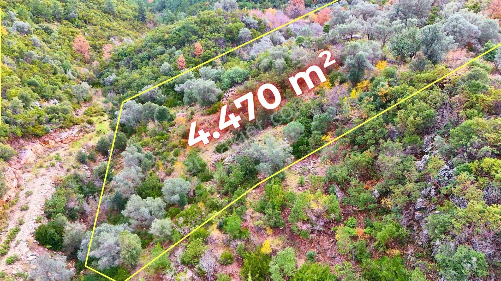 Alanya-karamanlar’ Da Satılık 4.470m² Arazi - Görsel 16