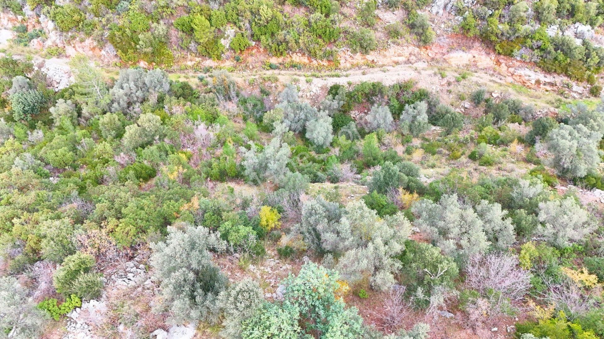 Alanya-karamanlar’ Da Satılık 4.470m² Arazi - Görsel 15