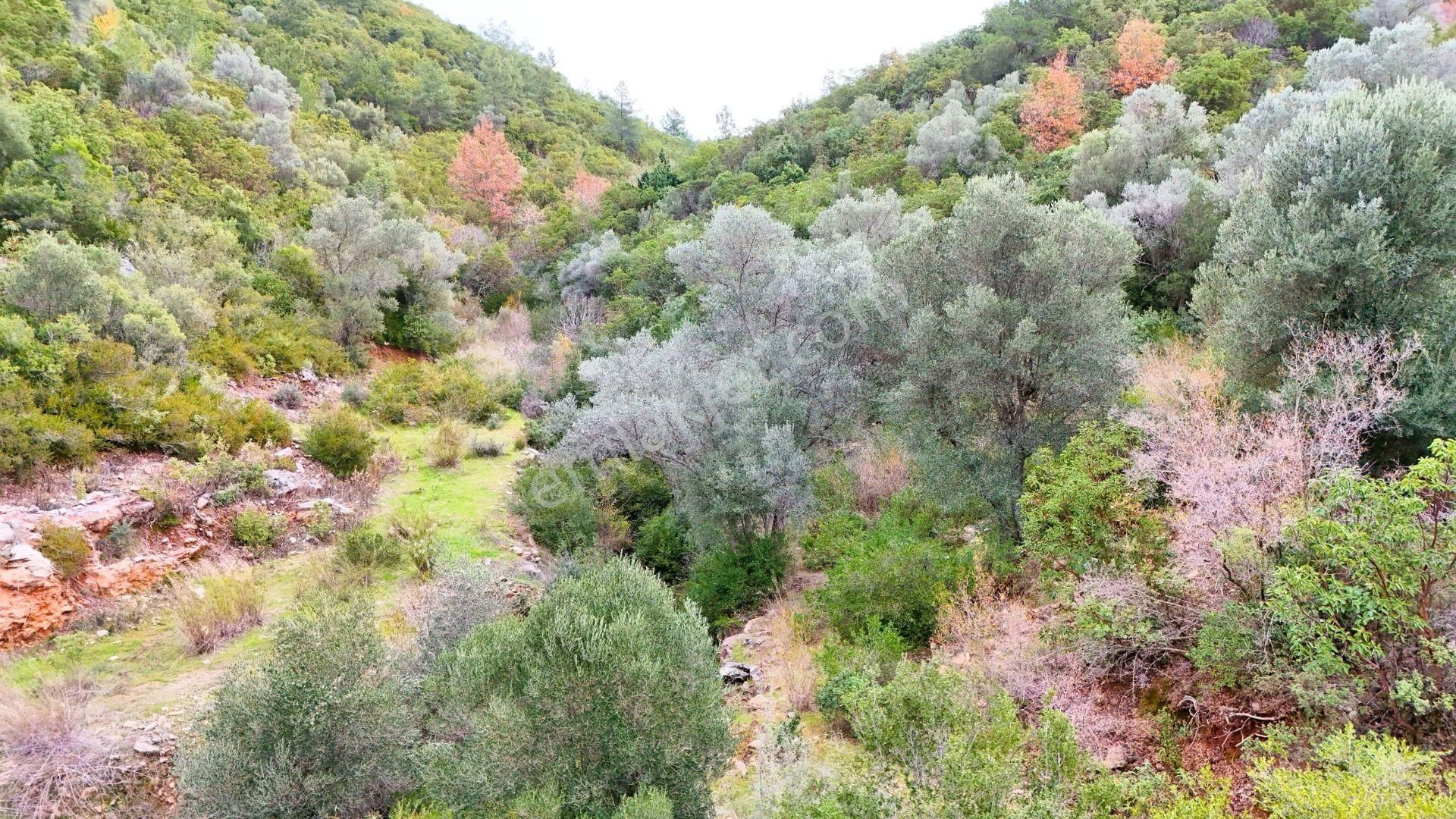 Alanya-karamanlar’ Da Satılık 4.470m² Arazi - Görsel 7