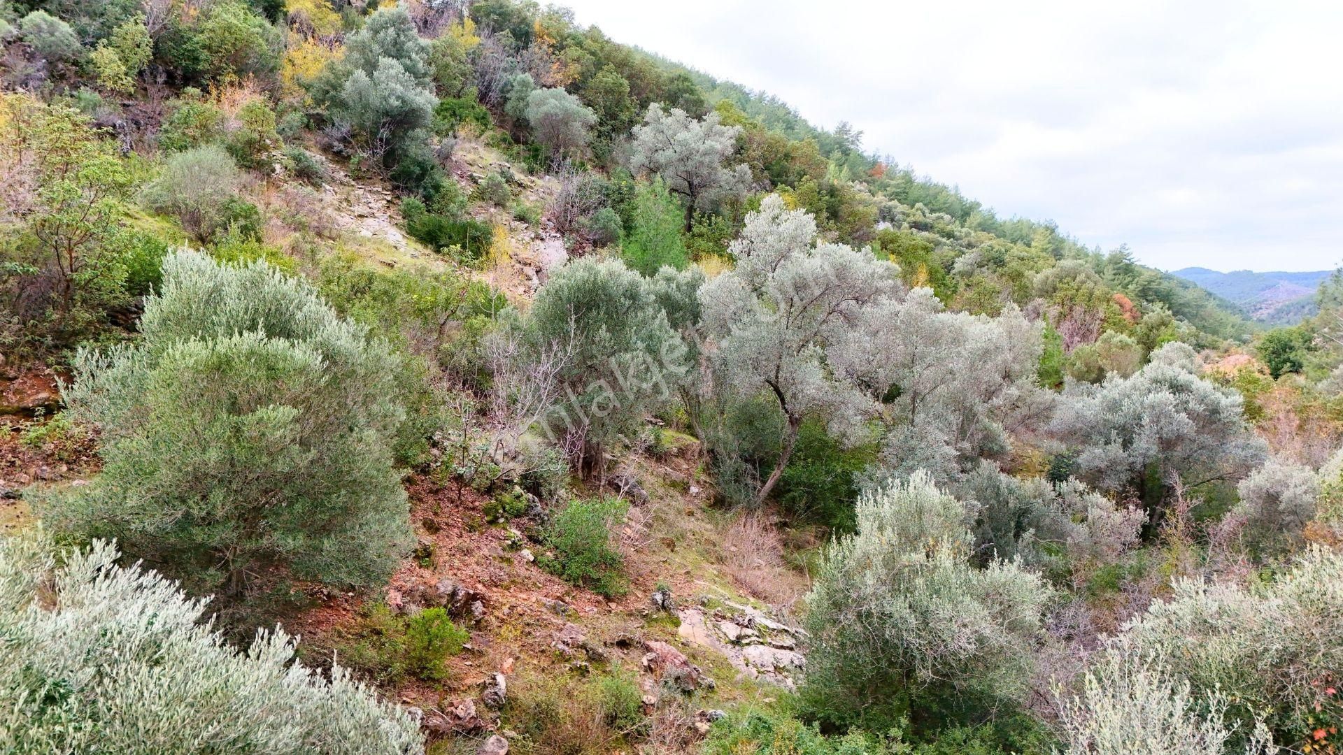 Alanya-karamanlar’ Da Satılık 4.470m² Arazi - Görsel 11