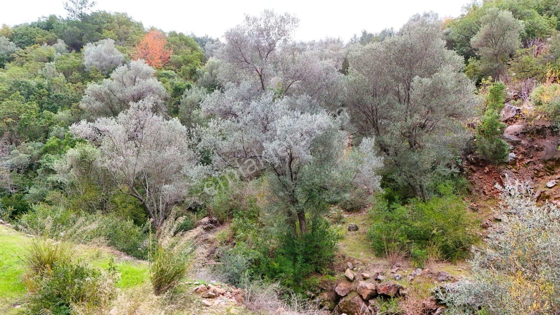 Alanya-karamanlar’ Da Satılık 4.470m² Arazi - Görsel 12