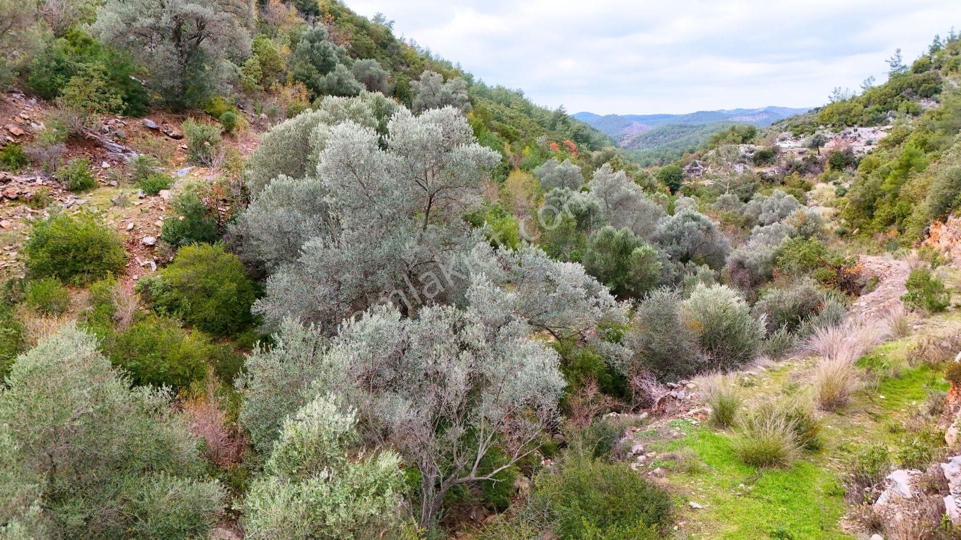 Alanya-karamanlar’ Da Satılık 4.470m² Arazi - Görsel 9