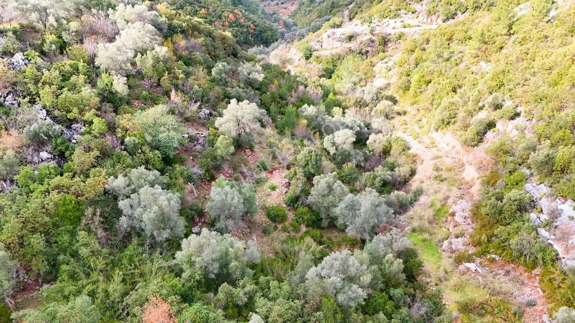 Alanya-karamanlar’ Da Satılık 4.470m² Arazi - Görsel 14