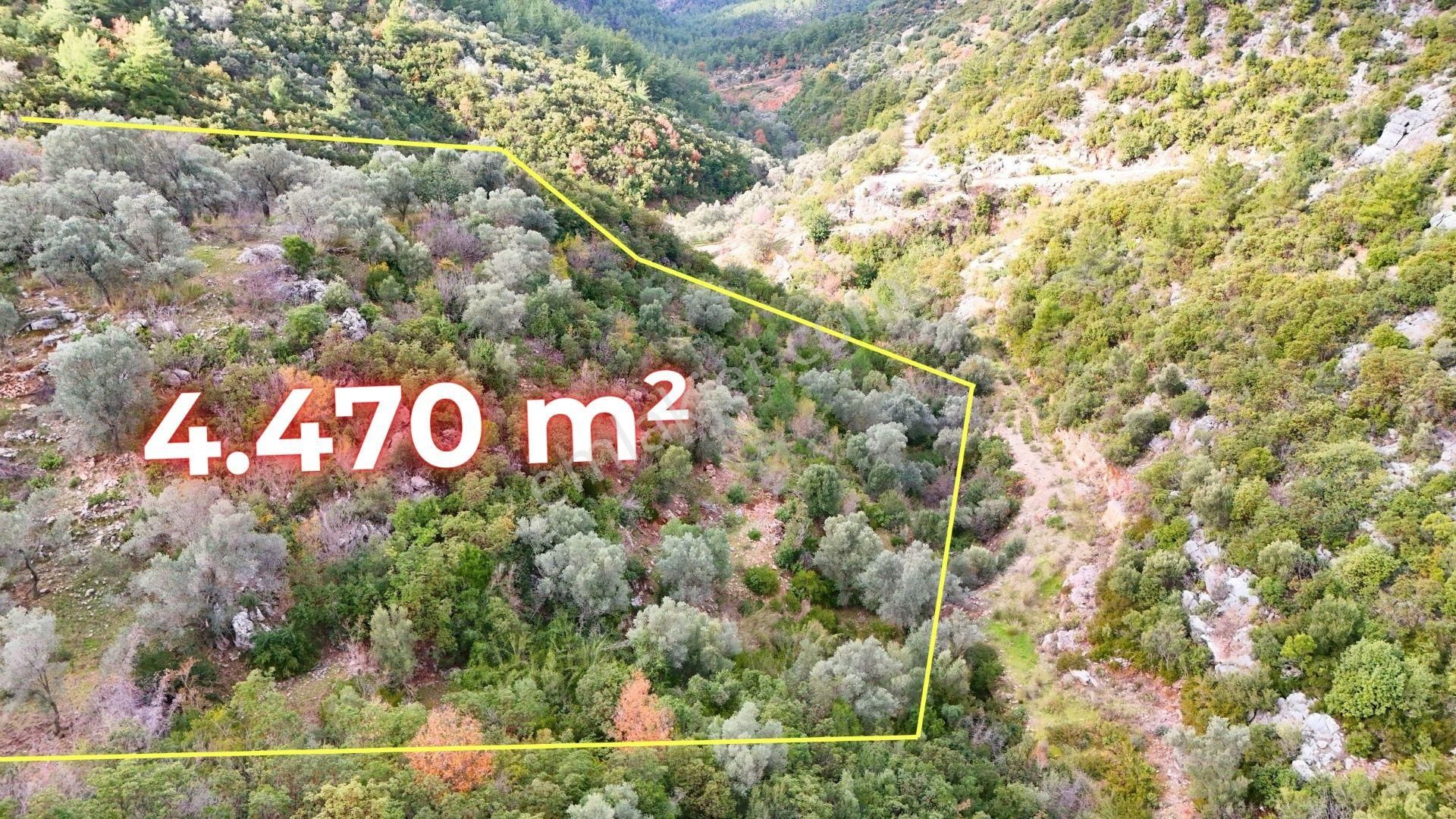 Alanya-karamanlar’ Da Satılık 4.470m² Arazi - Görsel 13