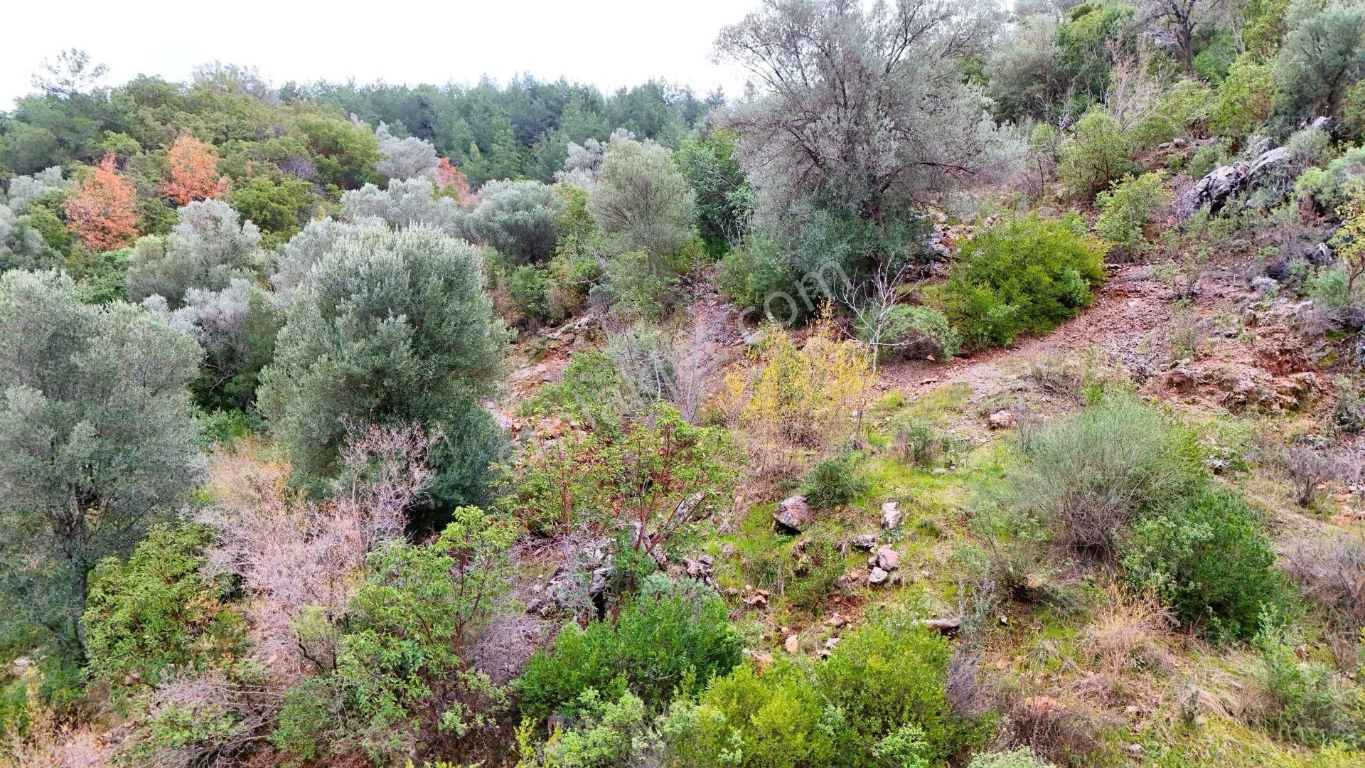 Alanya-karamanlar’ Da Satılık 4.470m² Arazi - Görsel 6