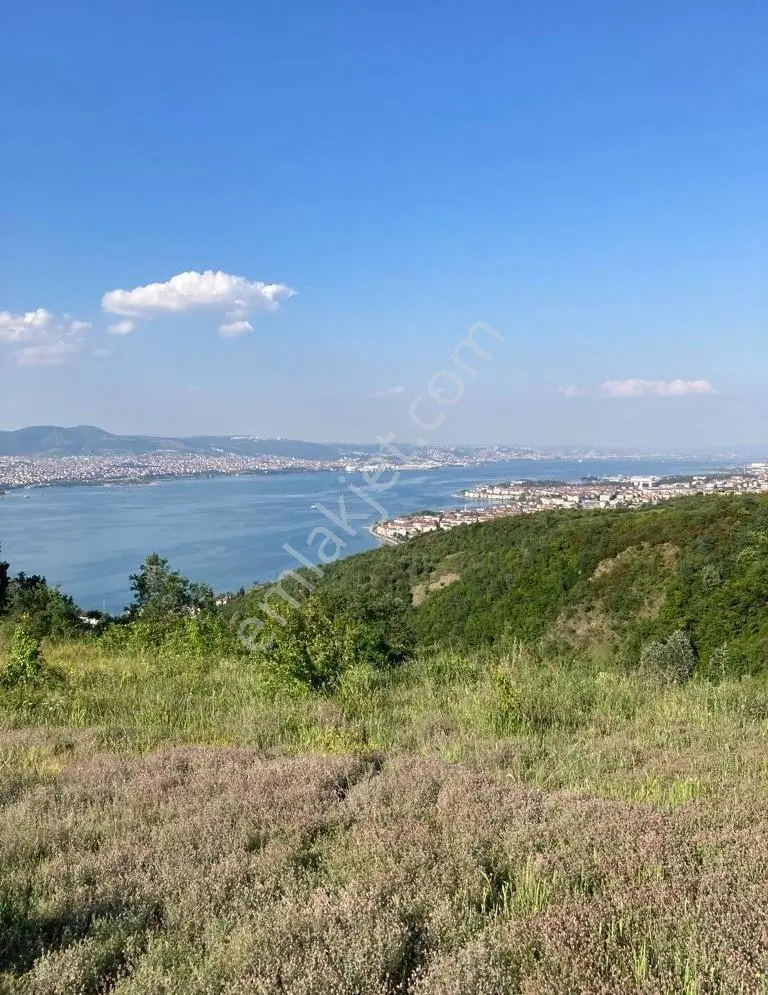 Remax Natural'den Kocaeli Halıdere'de Deniz Manzaralı Tarla - Görsel 5