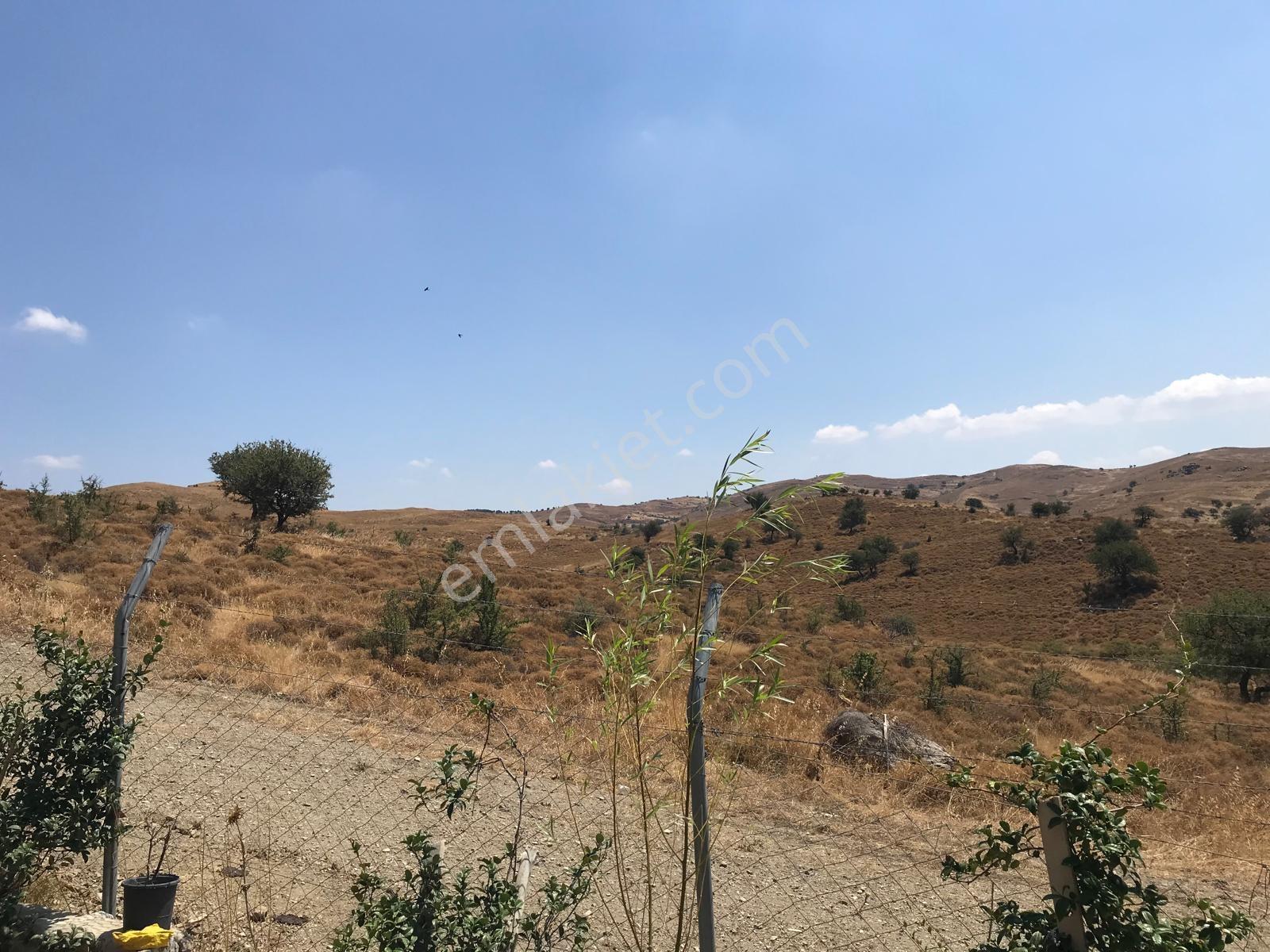 Doğa İçinde Göl Manzaralı Eşyalı Müstakil Ev - Görsel 12