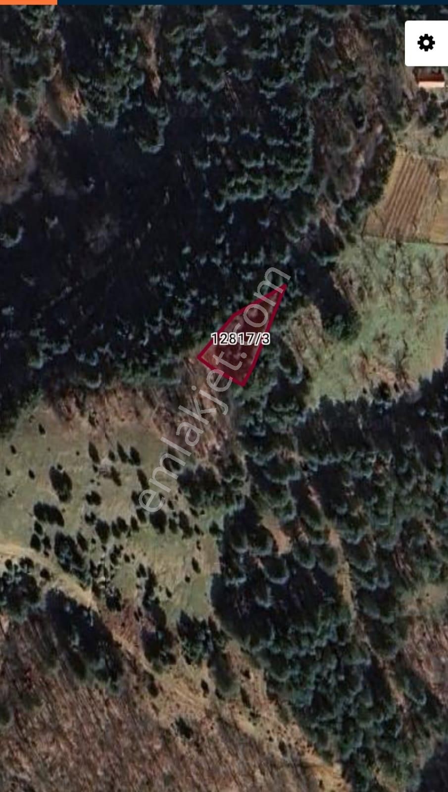 Mürseller De Satılık Tek Tapu 550 M2 Müstakil Parsel