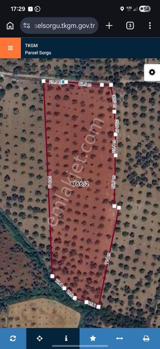 Ortaklar'da Emsallerin Altında Satılık İncir Ve Zeytin Bahçesi - Görsel 26