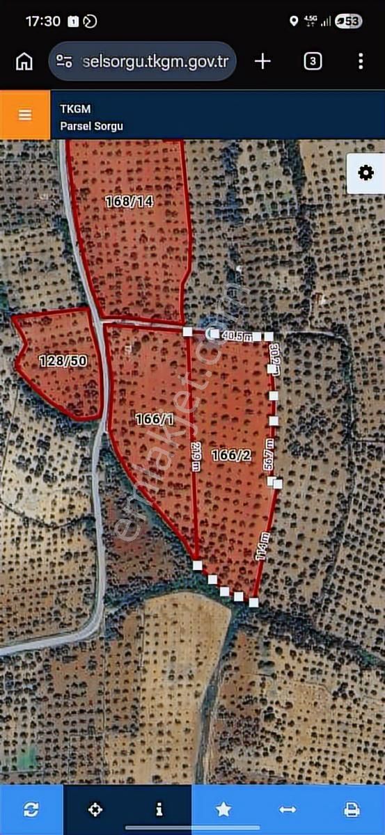 Ortaklar'da Emsallerin Altında Satılık İncir Ve Zeytin Bahçesi - Görsel 27