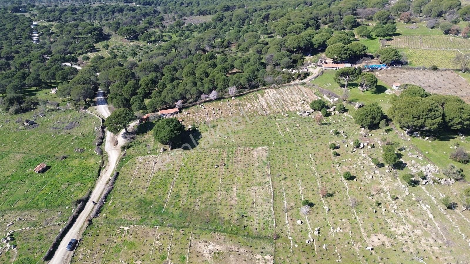 Bergama Kozak Aşağıbey Mahallesinde Satılık 10.594m2 Üzüm Bağı - Görsel 28