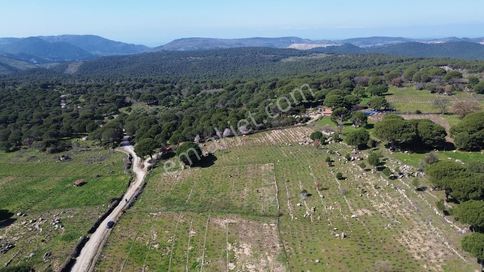 Bergama Kozak Aşağıbey Mahallesinde Satılık 10.594m2 Üzüm Bağı - Görsel 33