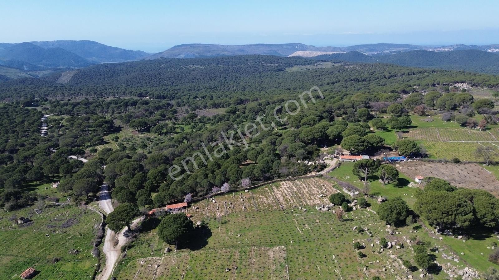 Bergama Kozak Aşağıbey Mahallesinde Satılık 10.594m2 Üzüm Bağı - Görsel 8
