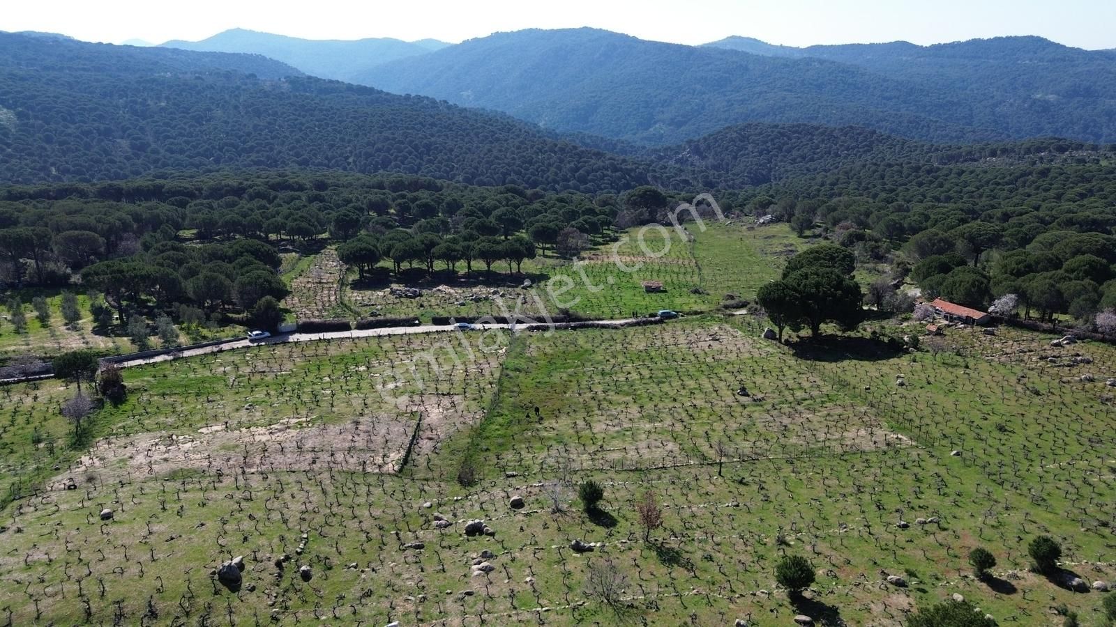 Bergama Kozak Aşağıbey Mahallesinde Satılık 10.594m2 Üzüm Bağı - Görsel 18