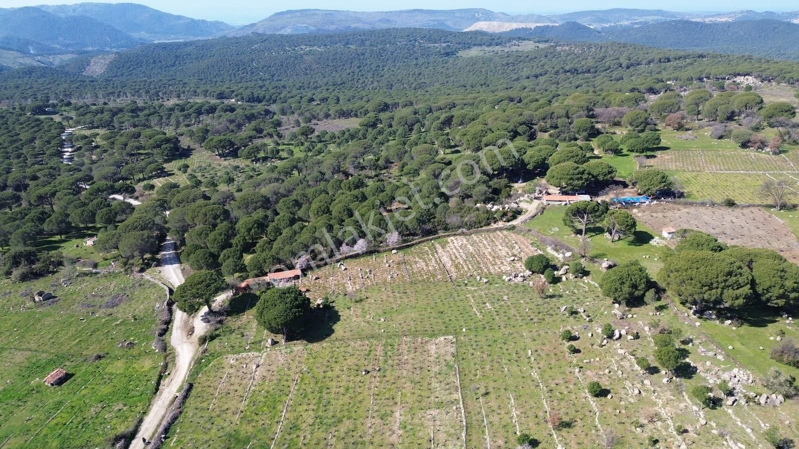 Bergama Kozak Aşağıbey Mahallesinde Satılık 10.594m2 Üzüm Bağı - Görsel 27