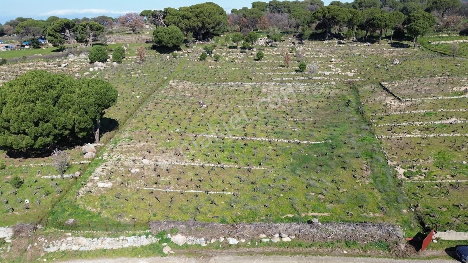 Bergama Kozak Aşağıbey Mahallesinde Satılık 10.594m2 Üzüm Bağı - Görsel 17
