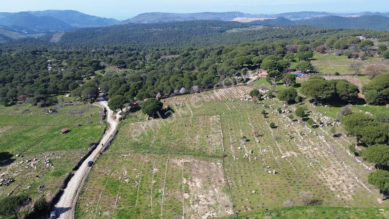 Bergama Kozak Aşağıbey Mahallesinde Satılık 10.594m2 Üzüm Bağı - Görsel 32