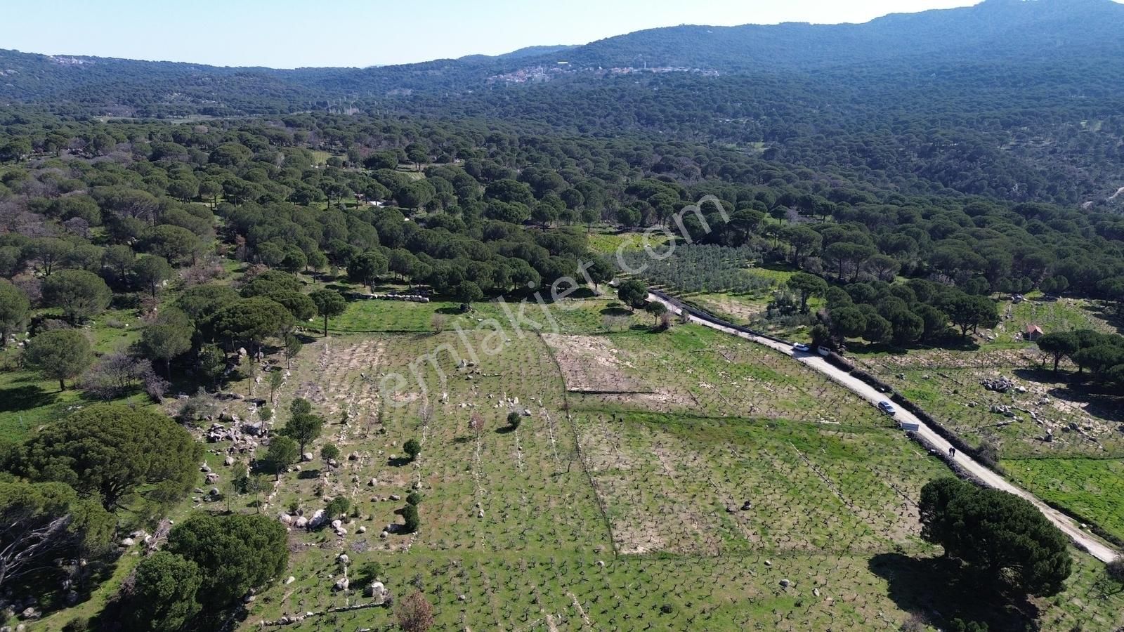 Bergama Kozak Aşağıbey Mahallesinde Satılık 10.594m2 Üzüm Bağı - Görsel 23