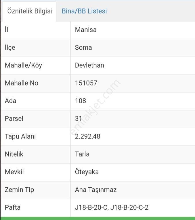 Soma Devlethan Köyü'nde Satılık Fırsat Zeytinliği