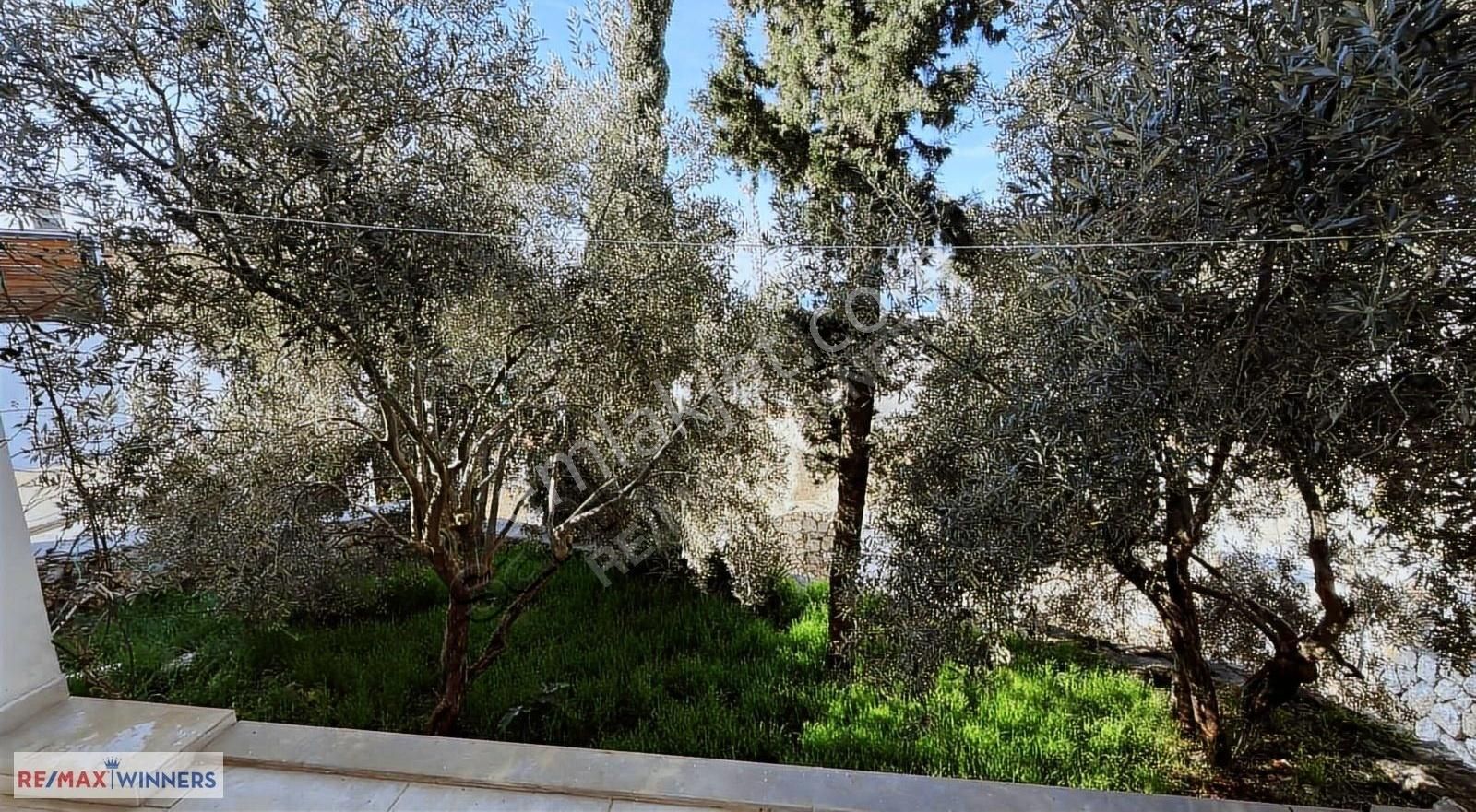 Kalkanda Kaçırılmayacak Komple Satılık Bina Yatırım Fırsatı - Görsel 11