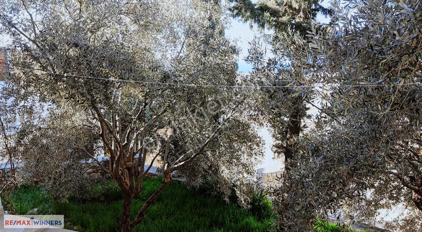 Kalkanda Kaçırılmayacak Komple Satılık Bina Yatırım Fırsatı - Görsel 14