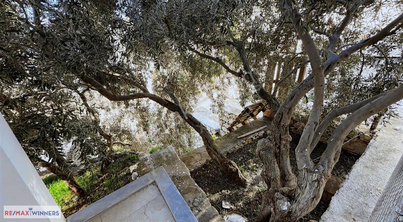 Kalkanda Kaçırılmayacak Komple Satılık Bina Yatırım Fırsatı - Görsel 22