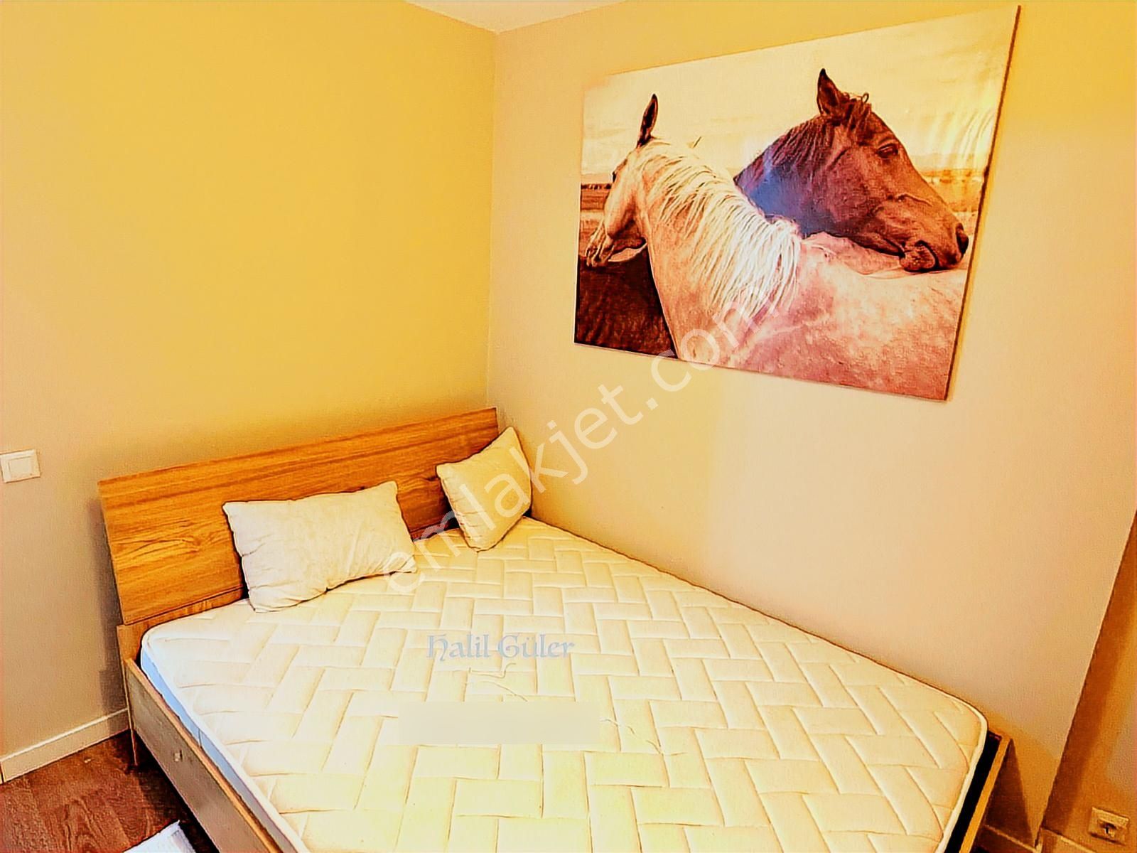 Dorelife Sitesi Eşyalı Kiralık 1+1 Daire 6.kat Arka Halil Güler - Görsel 16