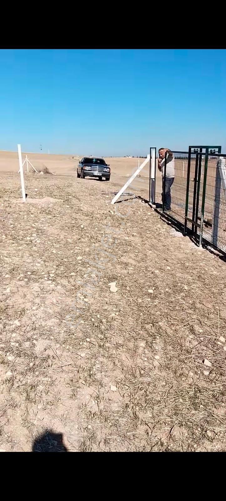 Alaçatıdan Gökçehöyükte/tek Tapu/31.347 M2/kadastral Yola Cephe - Görsel 10