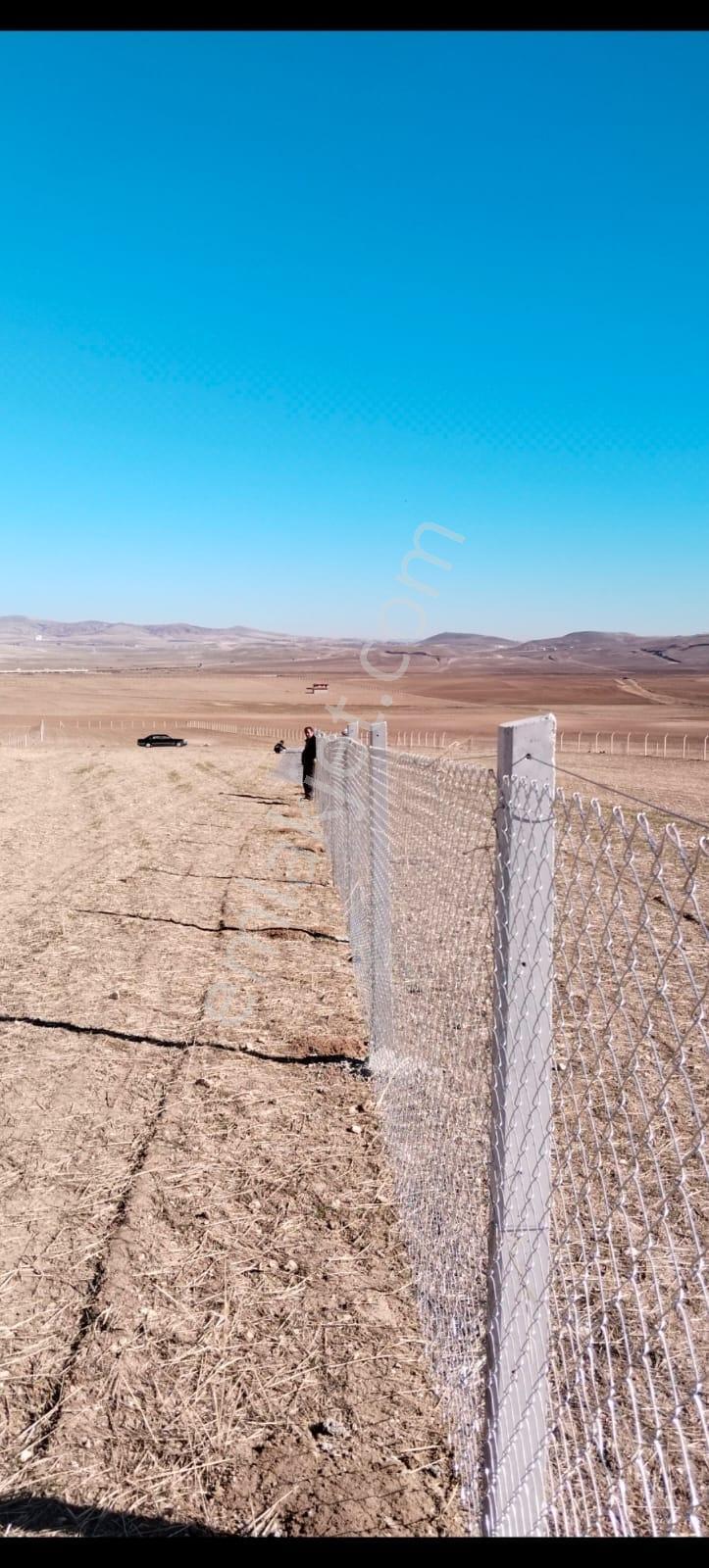 Alaçatıdan Gökçehöyükte/tek Tapu/31.347 M2/kadastral Yola Cephe - Görsel 5