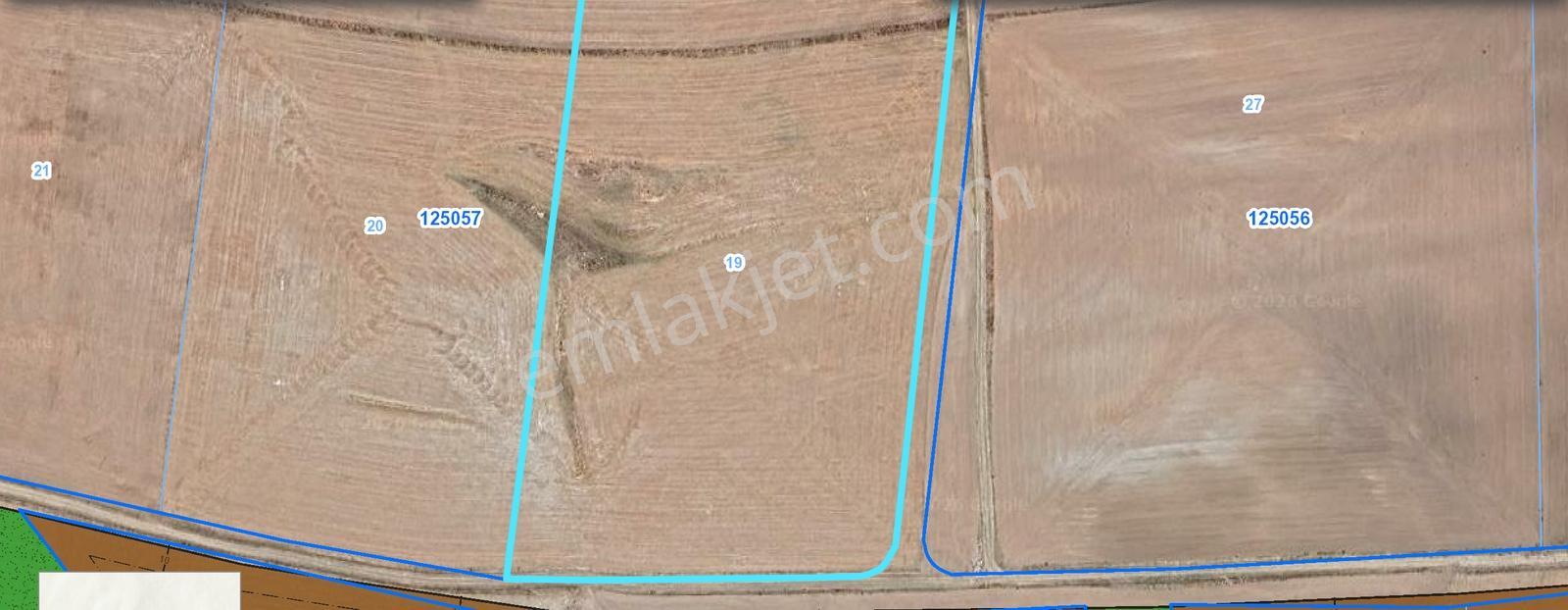 Alaçatıdan Gökçehöyükte/tek Tapu/31.347 M2/kadastral Yola Cephe - Görsel 9