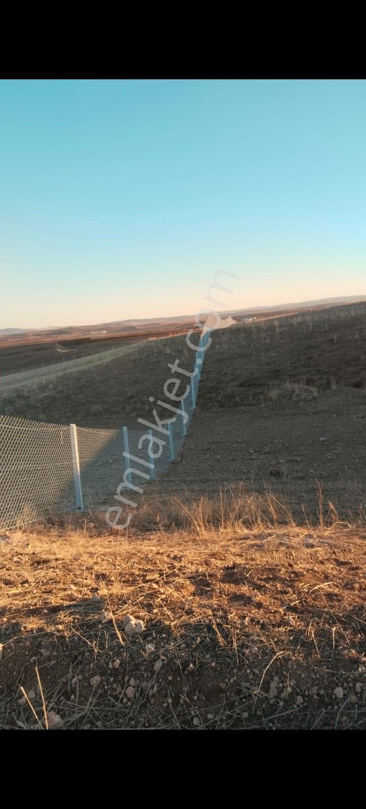 Alaçatıdan Gökçehöyükte/tek Tapu/31.347 M2/kadastral Yola Cephe - Görsel 4