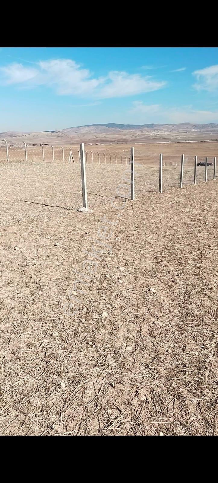 Alaçatıdan Gökçehöyükte/tek Tapu/31.347 M2/kadastral Yola Cephe - Görsel 3