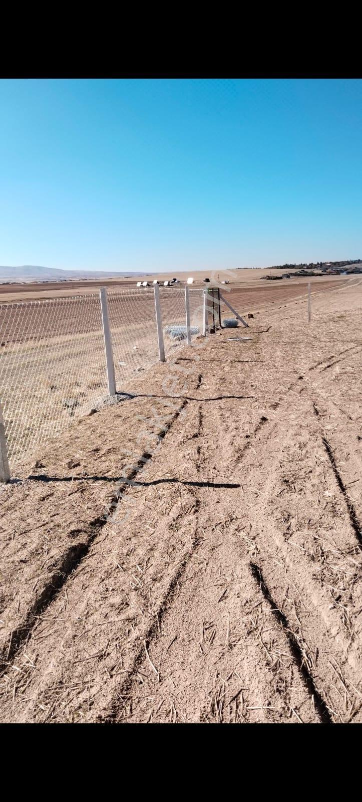 Alaçatıdan Gökçehöyükte/tek Tapu/31.347 M2/kadastral Yola Cephe - Görsel 6