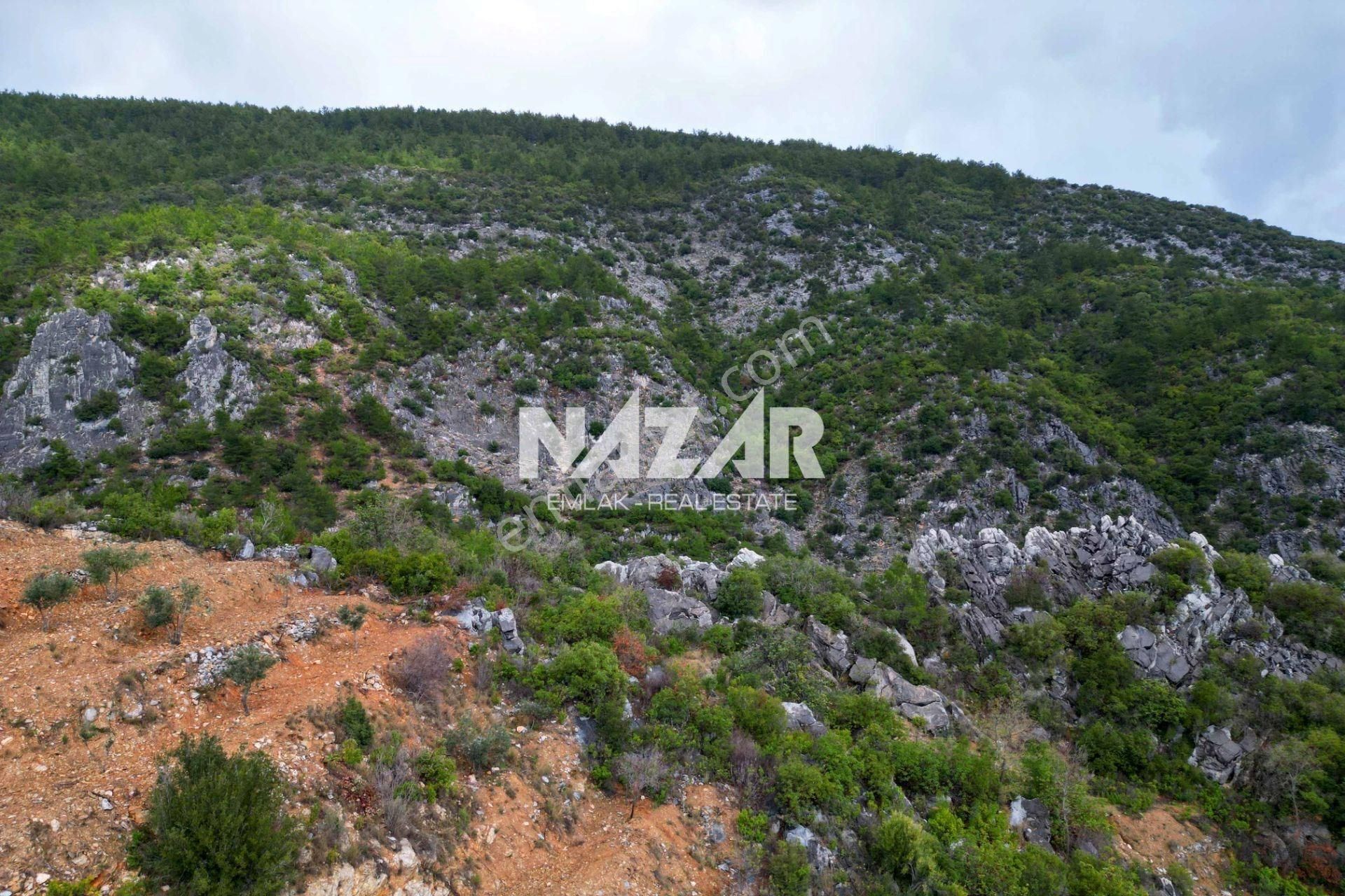 Alanya Kocaoğlanlı’da 1.845 M² Satılık Tarla - Görsel 6