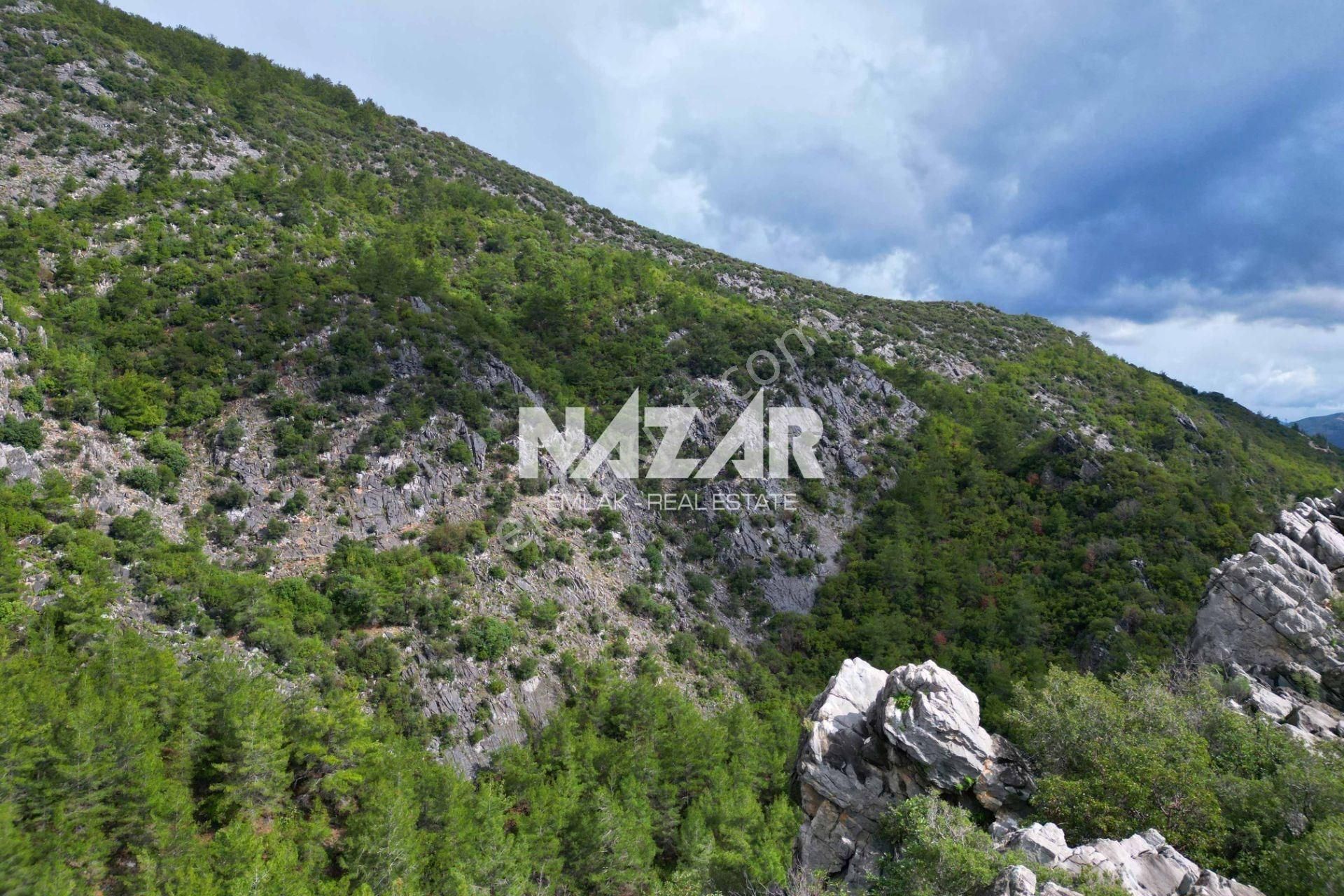 Alanya Kocaoğlanlı’da 1.845 M² Satılık Tarla - Görsel 15