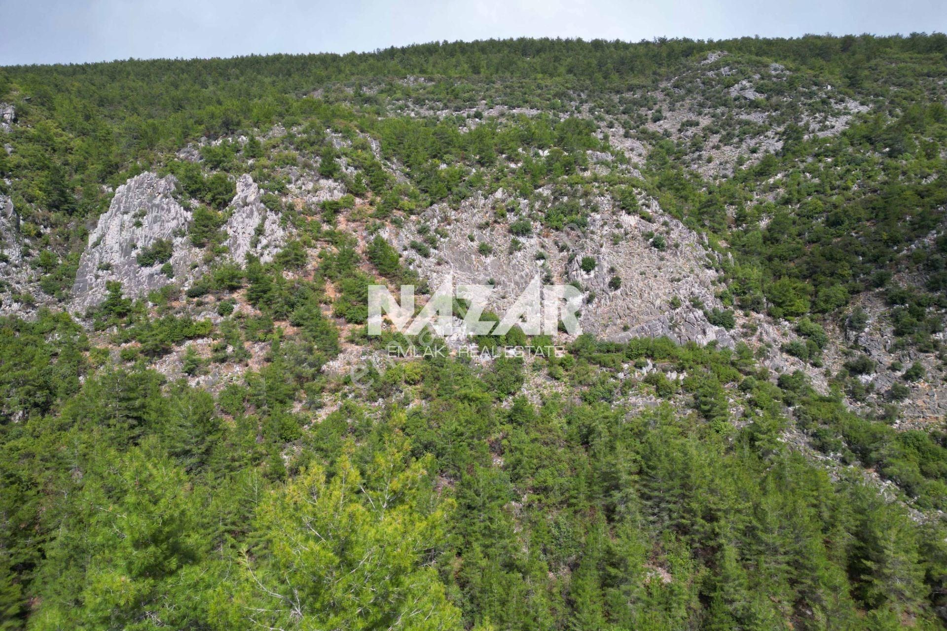 Alanya Kocaoğlanlı’da 1.845 M² Satılık Tarla - Görsel 16