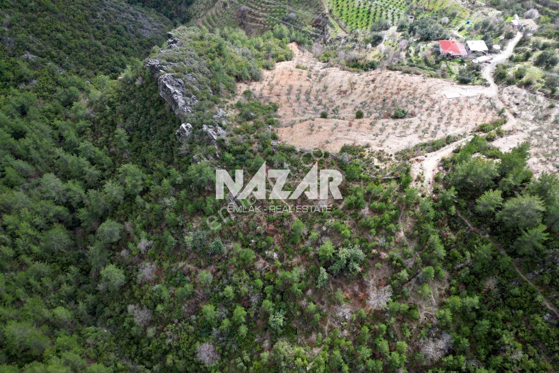 Alanya Kocaoğlanlı’da 1.845 M² Satılık Tarla - Görsel 9