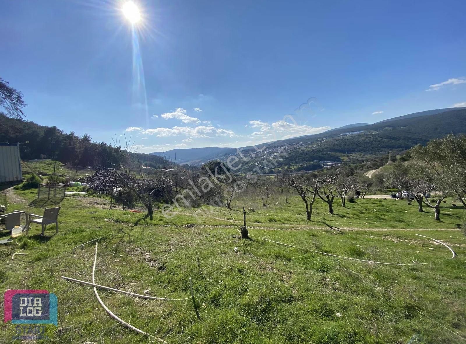 Karaçam'da Manisa Yoluna Yakın Tarla - Görsel 10