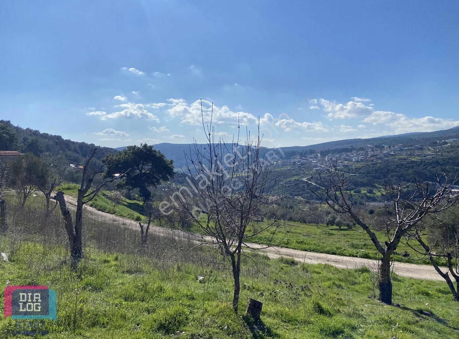 Karaçam'da Manisa Yoluna Yakın Tarla - Görsel 5