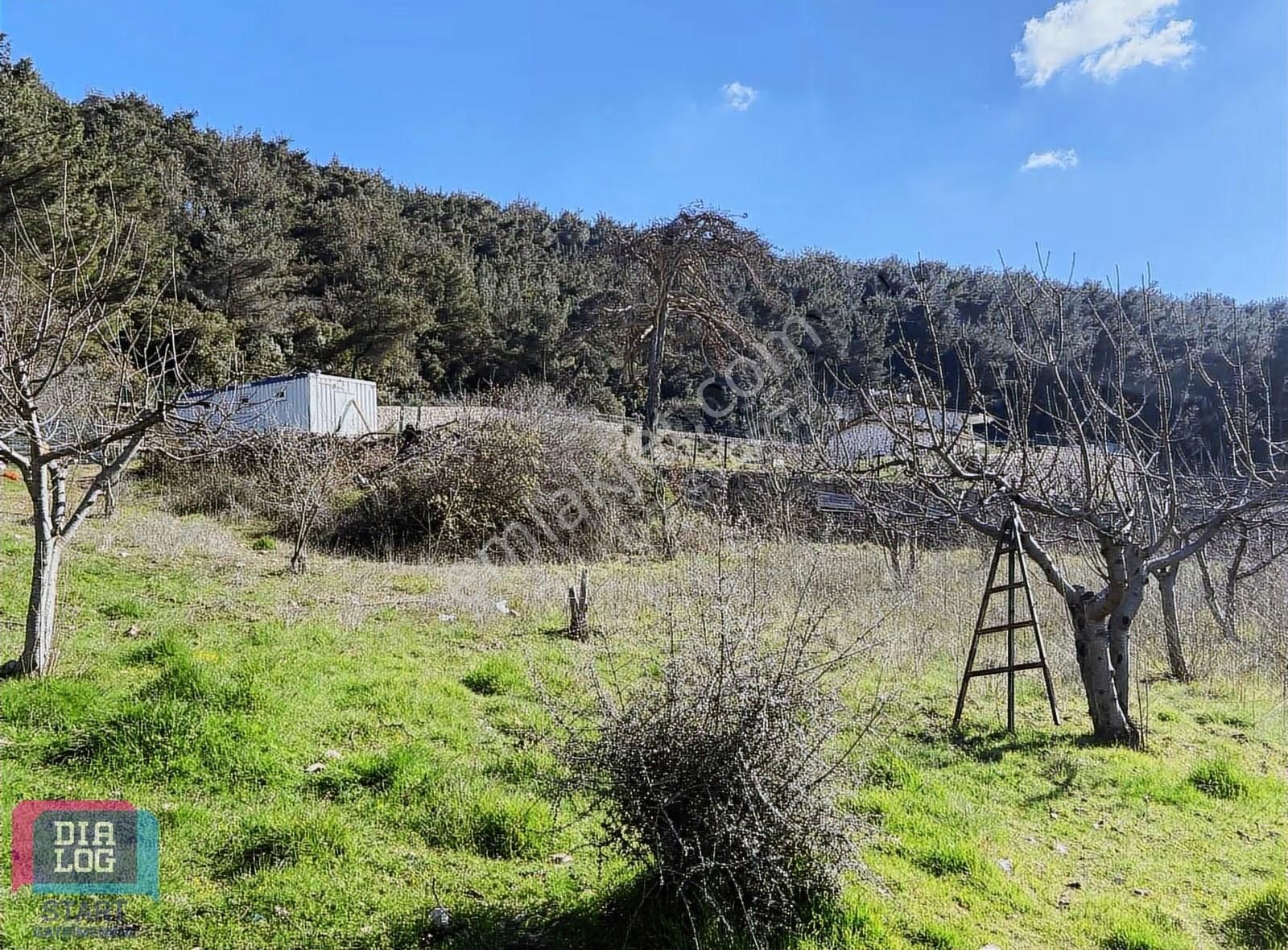 Karaçam'da Manisa Yoluna Yakın Tarla - Görsel 19