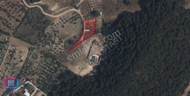 Karaçam'da Manisa Yoluna Yakın Tarla - Görsel 11