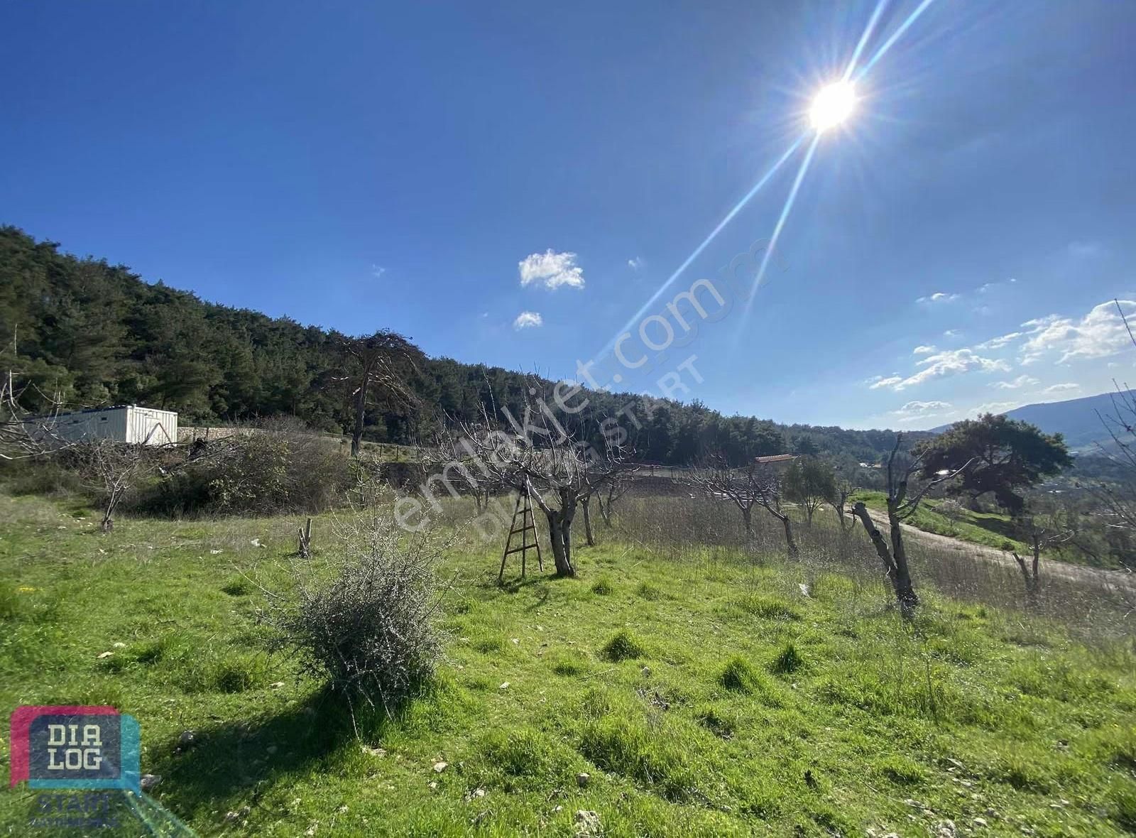 Karaçam'da Manisa Yoluna Yakın Tarla - Görsel 20