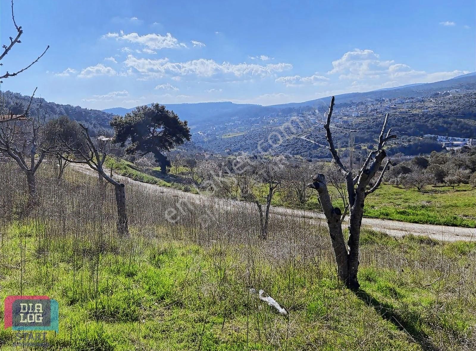 Karaçam'da Manisa Yoluna Yakın Tarla - Görsel 16