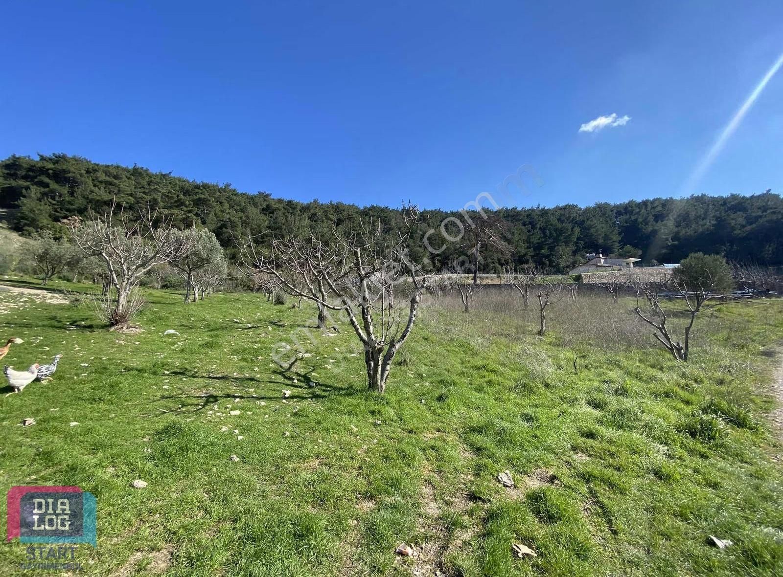 Karaçam'da Manisa Yoluna Yakın Tarla - Görsel 2