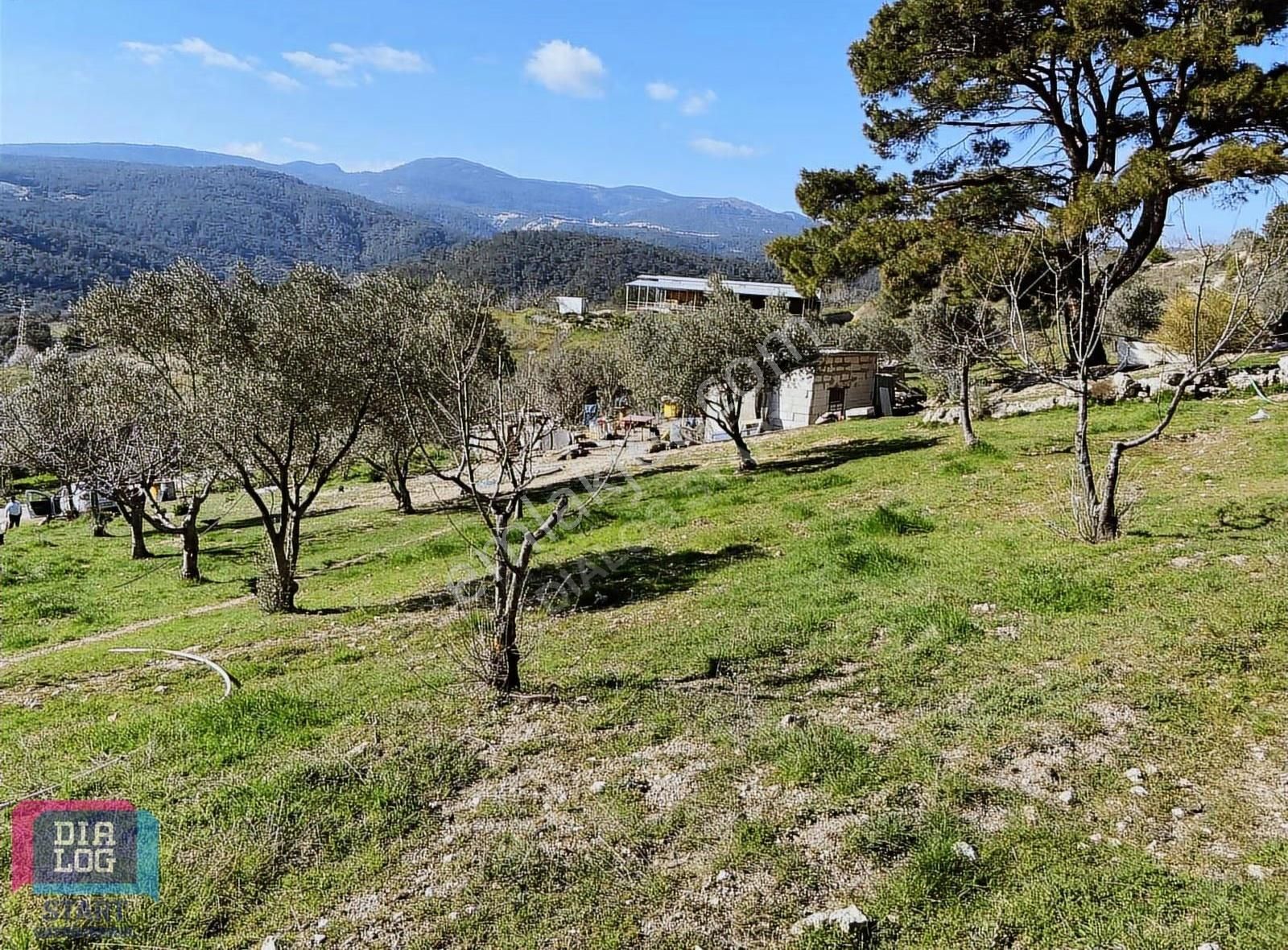 Karaçam'da Manisa Yoluna Yakın Tarla - Görsel 6
