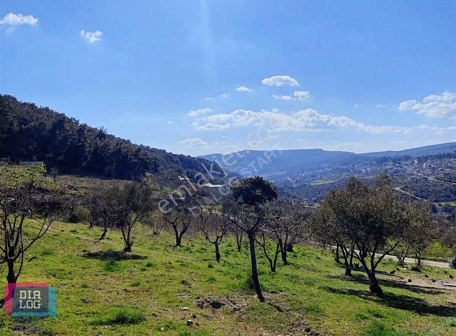 Karaçam'da Manisa Yoluna Yakın Tarla - Görsel 21