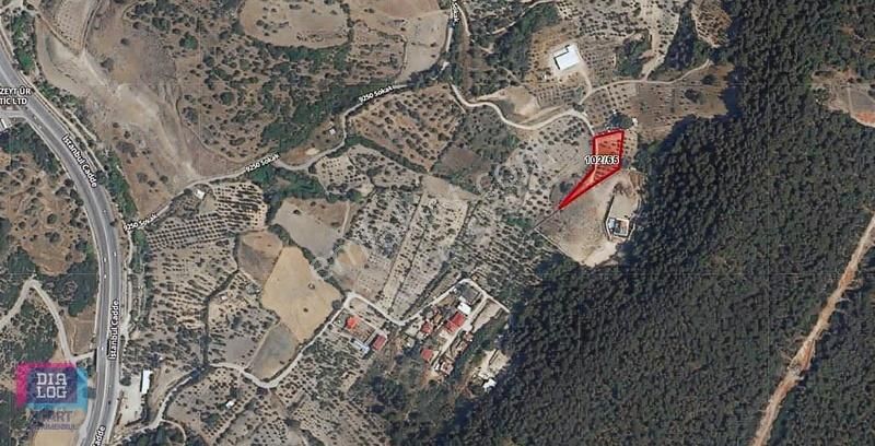 Karaçam'da Manisa Yoluna Yakın Tarla - Görsel 15