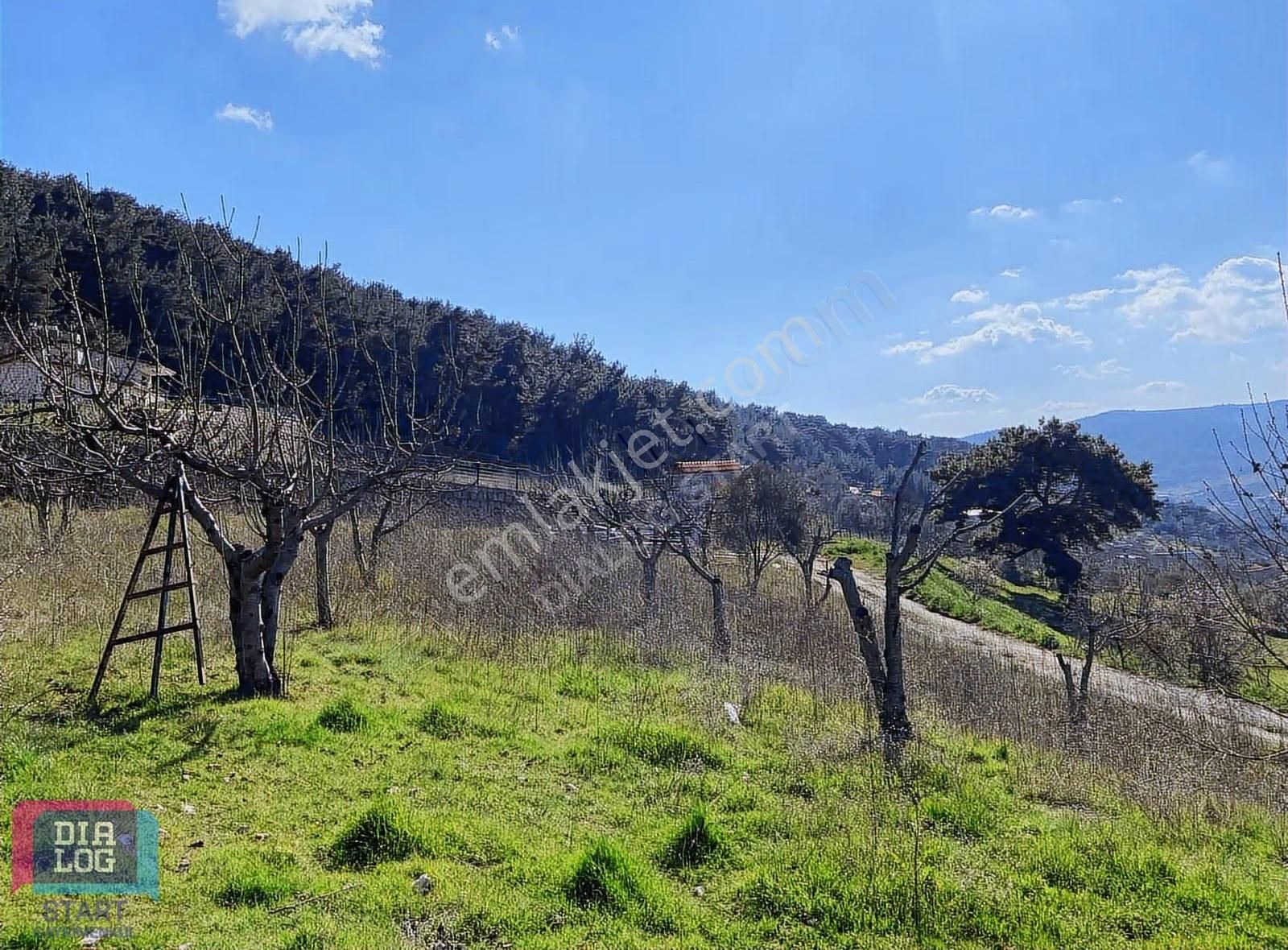 Karaçam'da Manisa Yoluna Yakın Tarla - Görsel 24