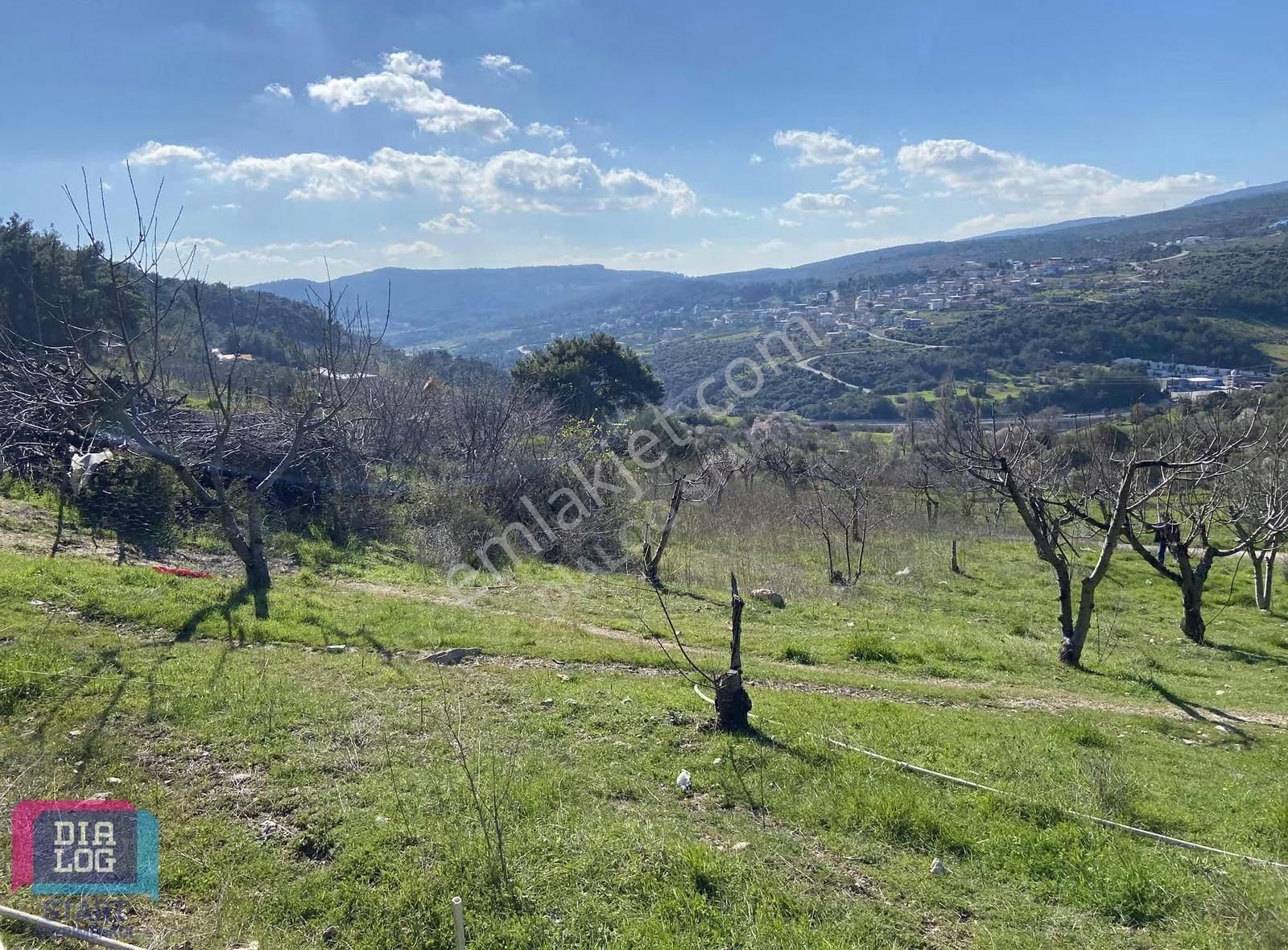Karaçam'da Manisa Yoluna Yakın Tarla - Görsel 8